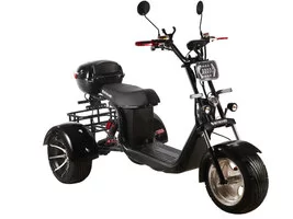 Электроскутер SKYBOARD TRIKE BR60-3000 PRO FAST